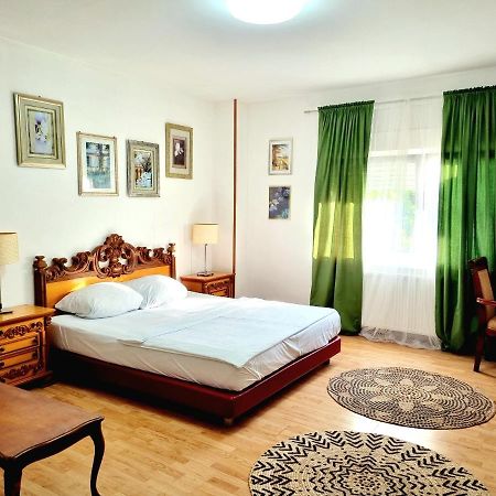 Rooms Villa Luigi Pančevo Zewnętrze zdjęcie