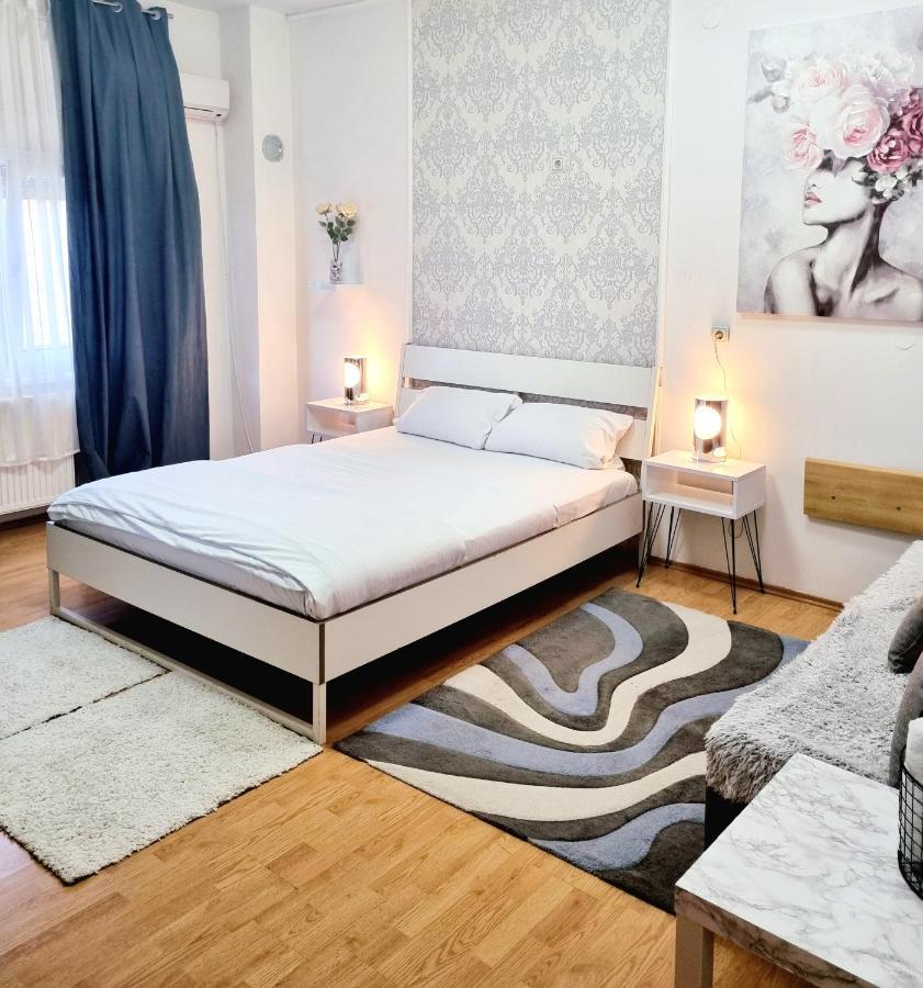 Rooms Villa Luigi Pančevo Zewnętrze zdjęcie